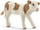 Set lodrash Schleich Farm World Simmental Calf, 5 copë, plastikë, kafe dhe e bardhë