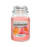 Qiri aromatik Yankee Candle Coral Peony, 538 g
