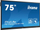 Monitor Iiyama ProLite, 75 ", UHD 4K, i zi