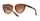 Syze dielli Ralph Lauren mRL0090, të kafta/arta