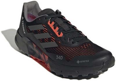 Atlete për meshkuj Adidas Terrex Agravic Flow 2 Gtx, nr. 44