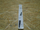 Fshirëse xhami SWF VisioFlex 119452, set 2 copë, 650mm 750mm, e zezë