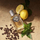 Eau de Parfum Dolce & Gabbana Devotion Pour Homme