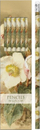 Set lapsash dekorativë Skona Ting STPEN01 Hellebore, 6 copë, shumëngjyrësh