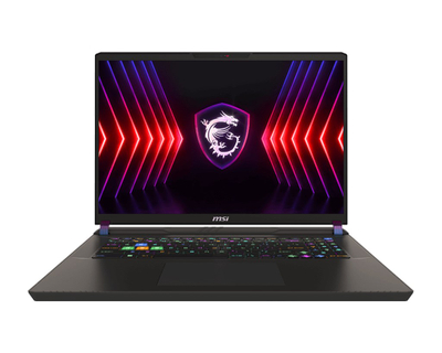 Laptop MSI Vector 17 HX A14VHG-1007PL, 17", i9-14900HX, 32GB, RTX 4080
