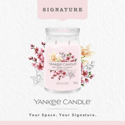 Qiri aromatik Yankee Candle Signature Pink Cherry and Vanilla, 567g, kavanoz i madh, rozë