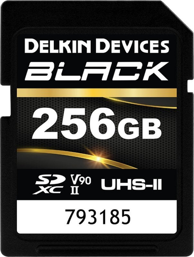 Kartë memorie Delkin Black Rugged SDXC, 256GB, UHS-II V90 Class 10
