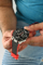 Orë dore për meshkuj Guess Navigator GW0264G1, e zezë/kuqe