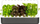Vazo për rritje të bimëve Click & Grow, Smart Garden 9, e hirtë