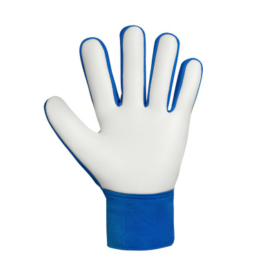 Doreza portieri Reusch Attrakt Starter Solid Jr, për kalamaj, latex sintetik, blu
