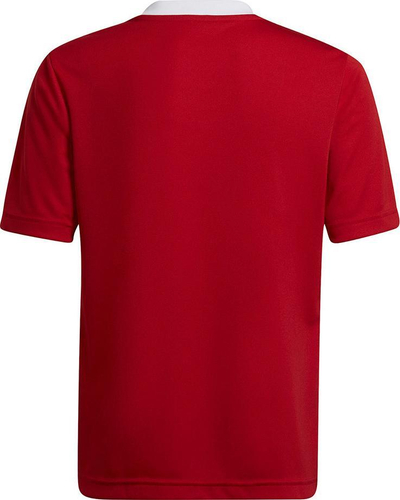 Bluzë sportive Adidas Entrada 22 Jr H57496, për kalamaj, poliestër i ricikluar, e kuqe