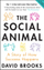 Social Animal - David Brooks