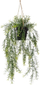 Bimë artificiale varëse Asparagus, 50 cm, me vazo, jeshile