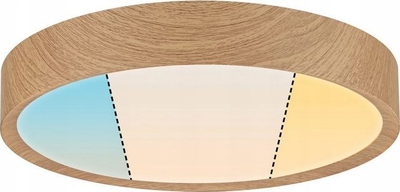 Plafonier tavani Paulmann Tega LED, IP44, CCT, pamje dru