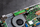 SSD i brendshëm Western Digital WD Green SN3000, 1TB, NVMe PCIe Gen4 M.2 2280, deri 5000 MB/s
