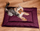 Dyshek për qen Velvet Mat, 50x70 cm, material velvet, ngjyrë kumbull