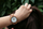 Orë dore Green Time ZW125B