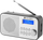 Radio GoGEN DAB 300 N, e argjendtë