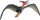 Figurë dinosaur Collecta Pteranodon Deluxe 1:40, 36x12 cm, shumëngjyrëshe