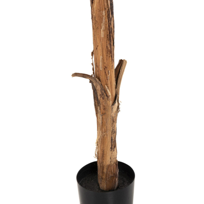 Bimë sintetike Pema Banane 180cm (HM7979)