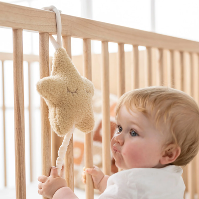 Loder me muzik  Star - 20 cm - Teddy Honey