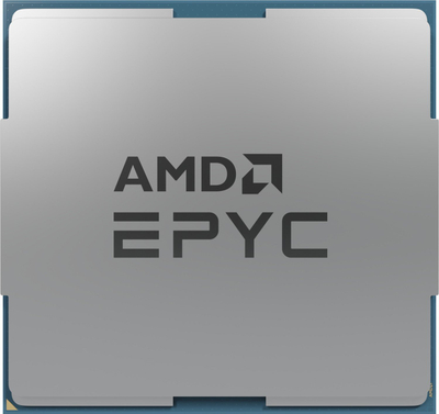 Procesor serveri AMD EPYC 9124, 3 GHz, 64 MB L3, ngjyrë argjendtë