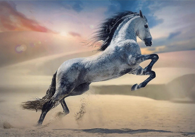 Puzzle Trefl Majestic Horse, 1000 copa, për të rritur, shumëngjyrësh