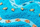 Lodër shqisore Petit Boum Spy Bottle Sea, Montessori, për beba 3m+, blu