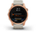 Orë e mençur Garmin SB 010-02539-11