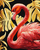 Set pikture me numra Satisfaction Graceful Flamingo KHO6523, 40x50cm, bojë akrilike metalike, shumëngjyrësh