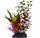 Bimë zbukuruese për akuarium Aqua Natura, plastike, 18 cm, burgundy jeshile