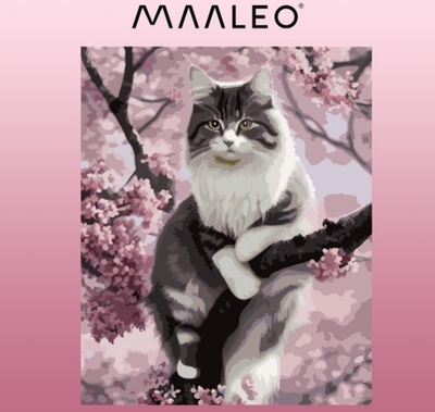 Set për pikturë me numra Maaleo Kitten 22783, 40x50cm, kanavacë me kornizë, shumëngjyrësh