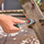Çelës me racë Bosch Home and Garden 1600A032VA, 1/4", mekanizëm preciz, i gjelbër