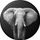 Mbajtëse telefoni PopSockets Loxodonta Africana Gen2, standard