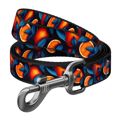 Litar për qen Waudog Nylon Oranges, 122 cm, shumëngjyrësh