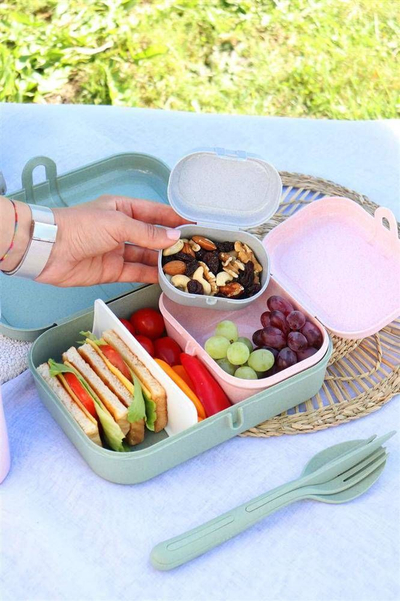 Kuti dreke Koziol Organic Bento, set me 3 copë, material miqësor me natyrën, jeshile