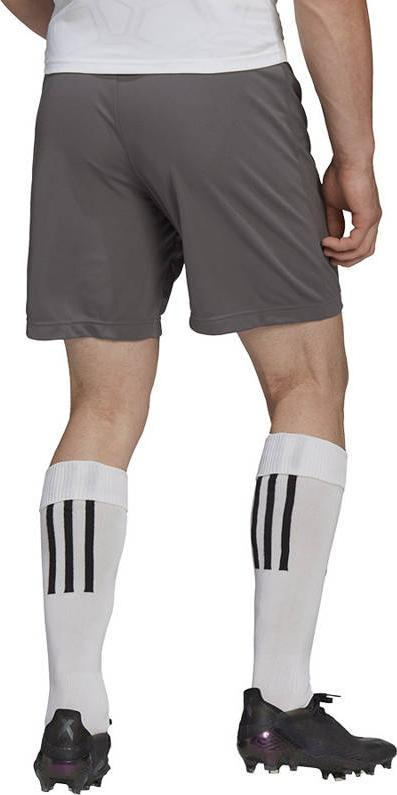 Pantallona të shkurtra adidas Entrada 22 M H57505, Aeroready, poliester i riciklu, gri