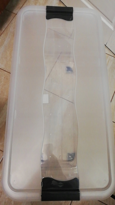 Kuti ruajtje Keeeper Cornelia Crystalbox, 83L, me kapak, transparente