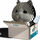 Set ndërtimi 3D Eugy Cat Tuxedo, model mace, karton ekologjik, shumëngjyrësh