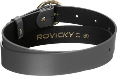 Кожен ремен за жени Rovicky, класичен ремен, кружна тока во златна боја, сив