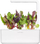 Билни капсули Click & Grow со блитва Rainbow Chard, сет 3 парчиња, за внатрешна градина, многуобојни