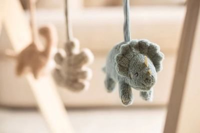 BABY GYM LODER DRURI  Roarsome
