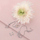 Vathë Hot Diamonds Genuine Diamond Lily DE609