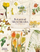 Botanical Sketchbooks - Helen Bynum