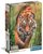 Puzzle Clementoni The Hunters Path, 1000 copa, 50 x 70 cm, shumëngjyrësh