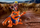 Set lojrash Playmobil Naruto Shippuden 70667 Naruto kundër Pain, me figura, shumëngjyrësh