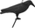 Statujë zmbrapse zogjsh Garden Raven, plastike rezistente, për kopsht, e zezë