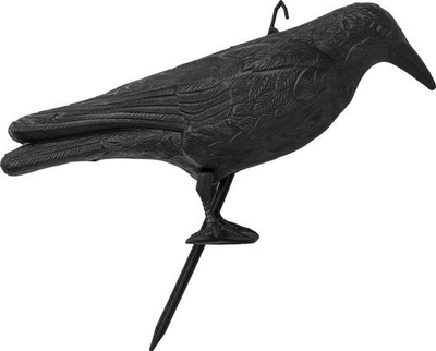 Statujë zmbrapse zogjsh Garden Raven, plastike rezistente, për kopsht, e zezë