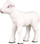 Figurinë lodër Collecta Standing Lamb, qengj në këmbë, shumëngjyrëshe