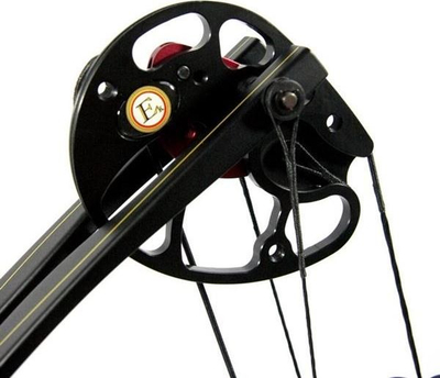 Hark compound Poe Lang Rex Quad, 20-65 lb, 28", camo